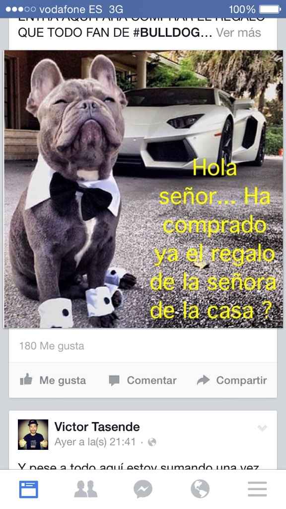Las mascotas también participan - 2