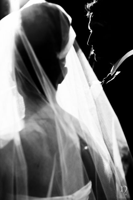 Novios