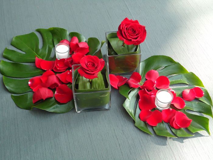 rosas rojas