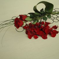 rosas en alto