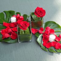 rosas rojas