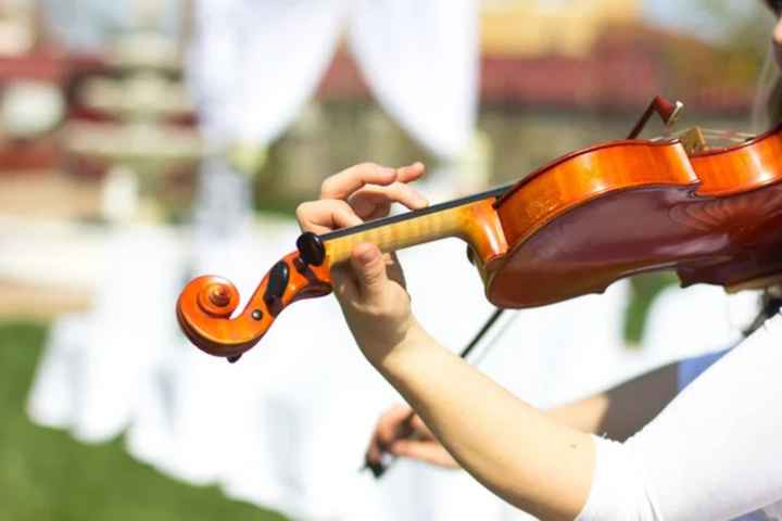 Violin en ceremonia...¿si o no? - 1