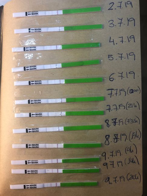 Resuelvo dudas sobre los to (test de ovulacion) 8