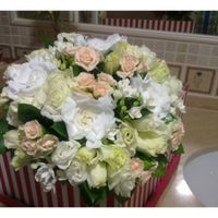 Gardenias