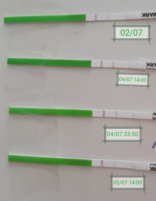 Test ovulación
