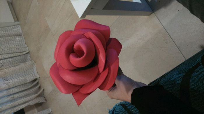 Mi pedida a el en su cumpleaños - 3