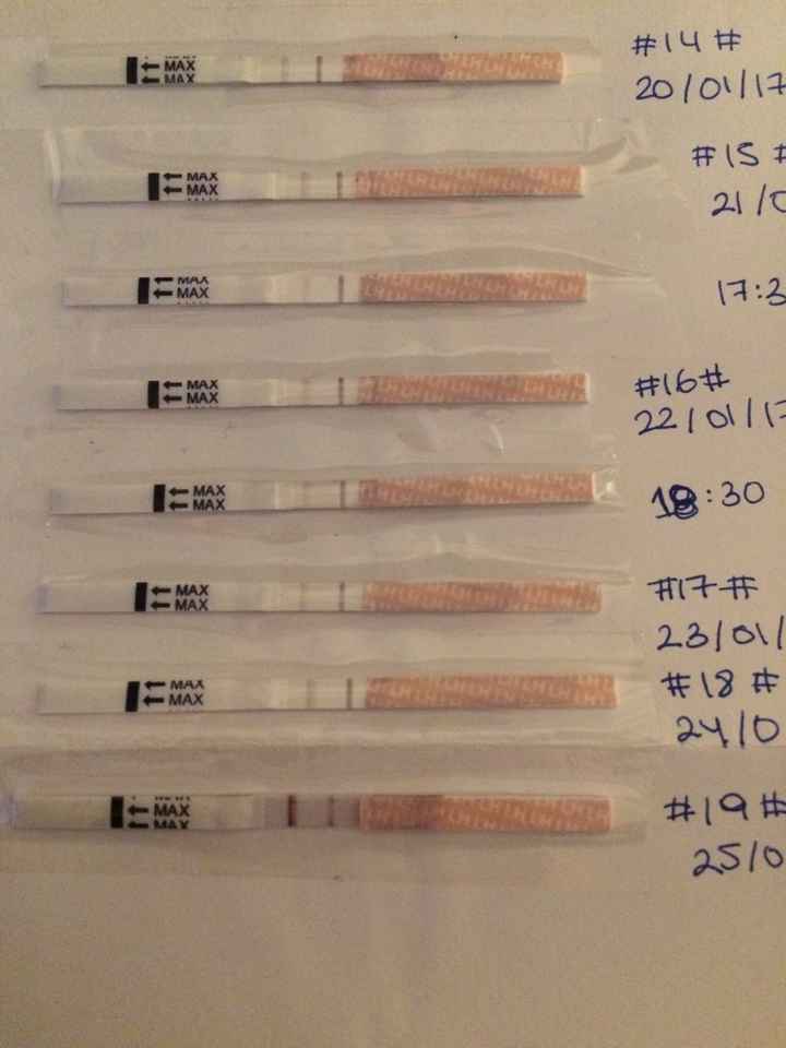 Nuevo buscadoras con síndrome de ovario poliquístico (sop) - 1