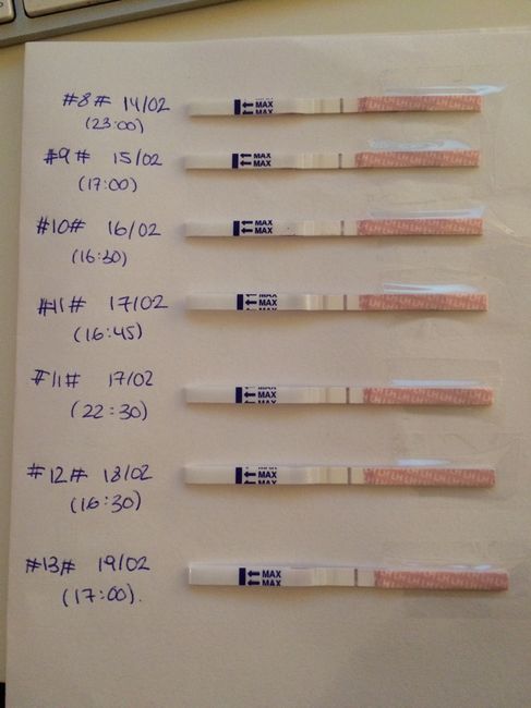 Resuelvo dudas sobre los to (test de ovulacion) - 1