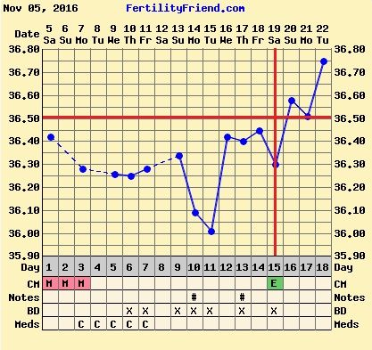 grafica temperatura