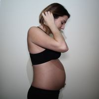 26 semanas