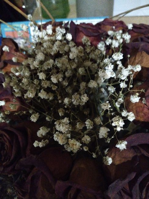 Necesito las flores y no se donde comprarlas - 1