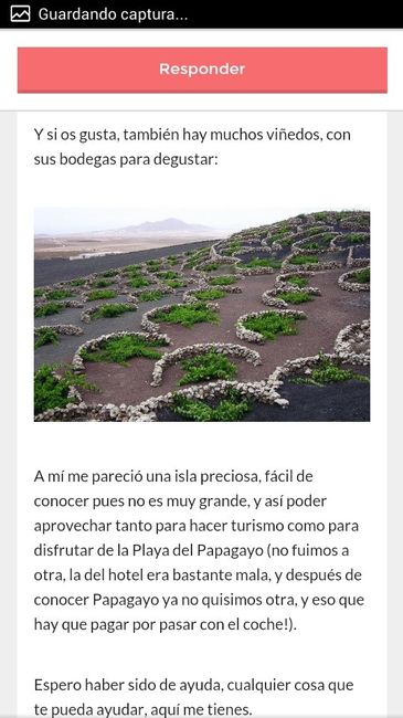 No podemos elegir luna de miel!!! - 2
