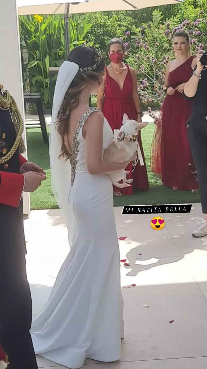 Felizmente casados🥰 - 11