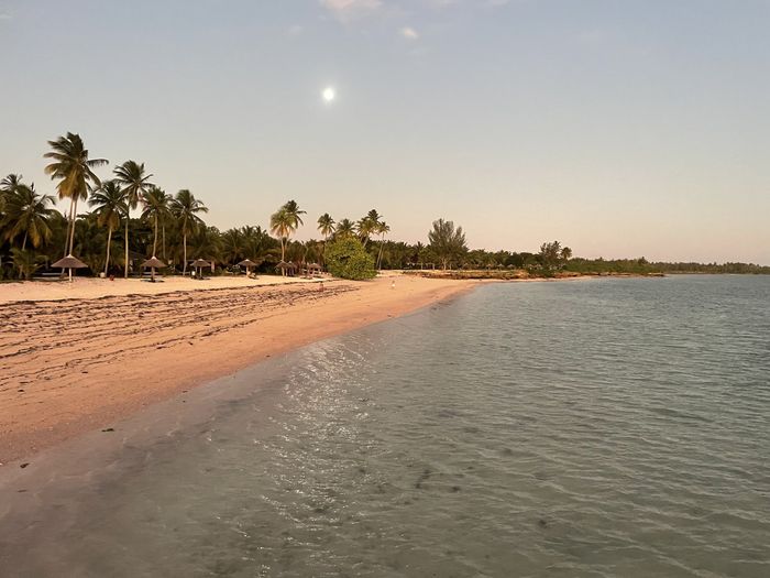 Alojamiento Zanzibar 2
