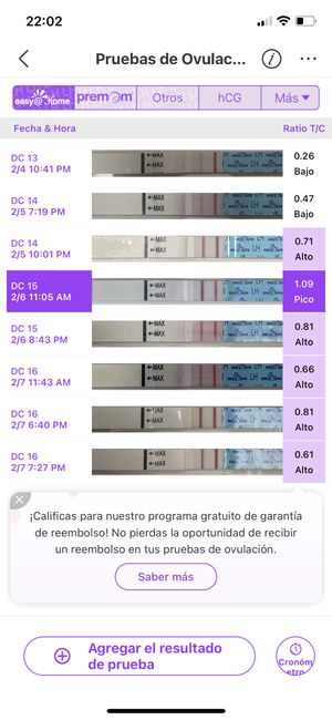 Buscadoras febrero 👑🥐👑🥐👑🥐 5