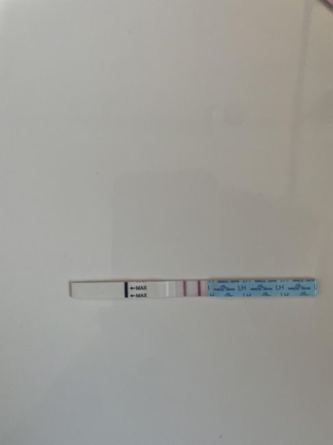 💞Buscadoras Julio 2025 🏖️ 2