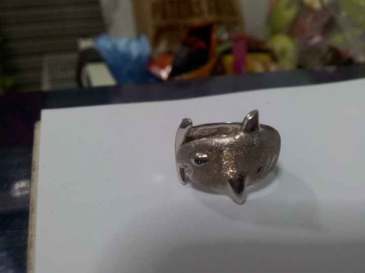 Nuestros anillos de compromiso... - 1