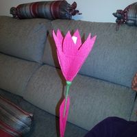 Pétalos de Flores, Arroz o pompas - 2