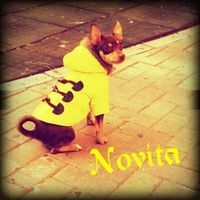 Entrega de anillos espectacular y emotiva!!! - 2