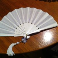 Mi abanico