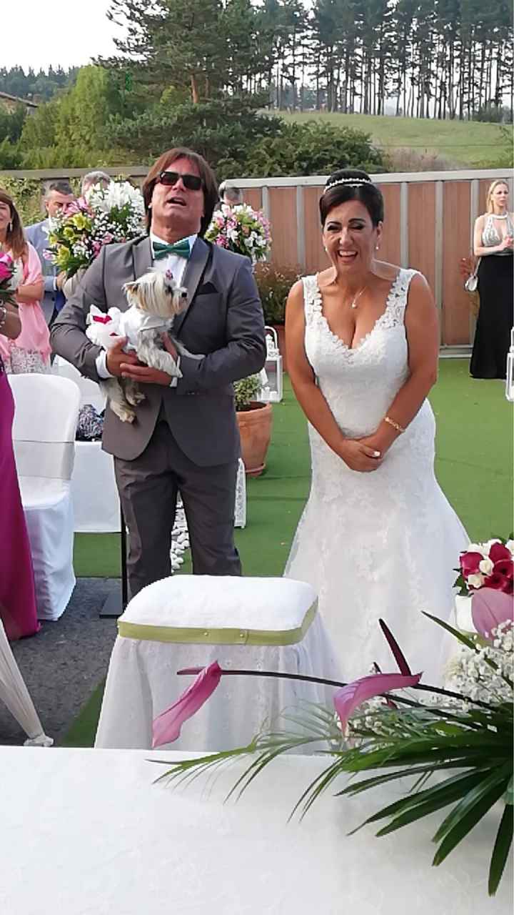 ¿Mascotas en la boda? - 1