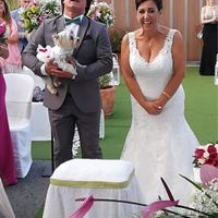 ¿Mascotas en la boda? - 1