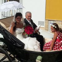 coxe caballo