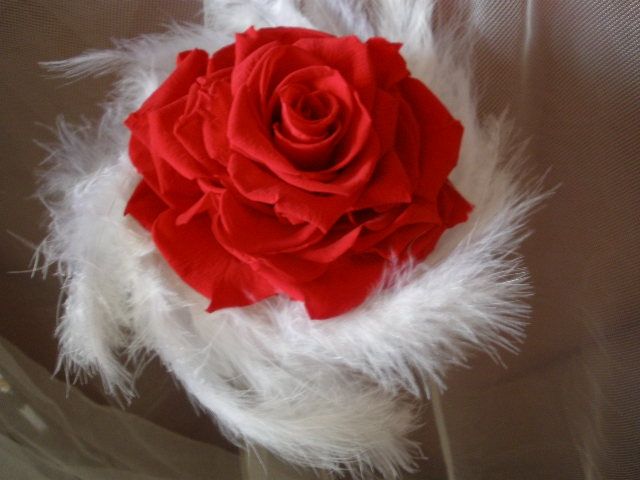 rosmelia roja