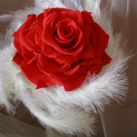 rosmelia roja