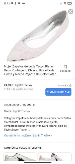 Zapato plano 1