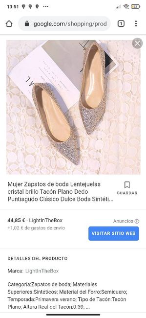 Zapato plano 3