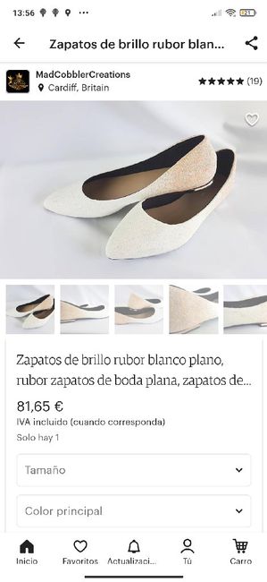 Zapato plano 5