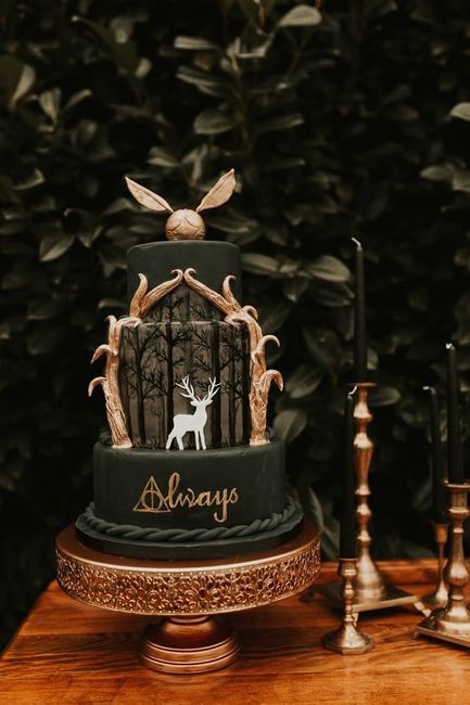 Boda temática Harry Potter 7
