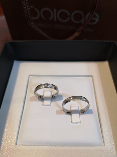 Llegaron las alianzas!! - 1