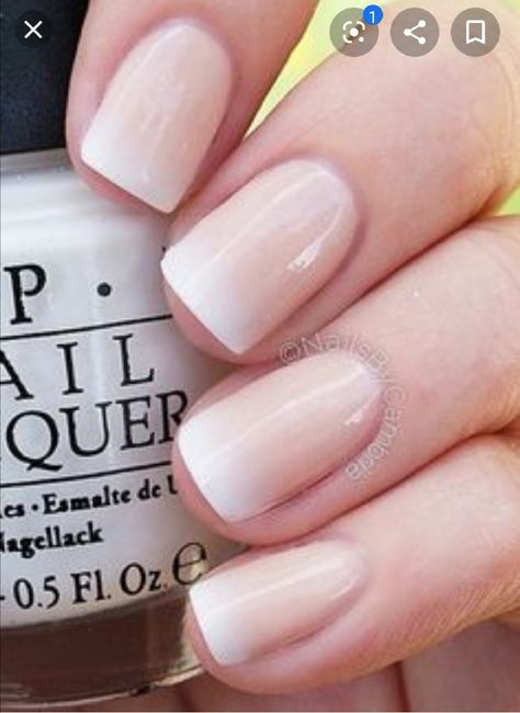 Ideas para la manicura del día B 2