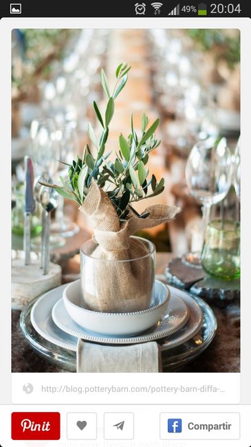 Decoración: temática olivos y aceitunas - 8