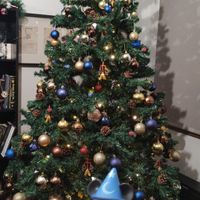 ¿Soléis decorar vuestra casa con adornos navideños? - 2