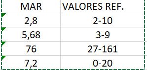 Buscadoras marzo 2019 1