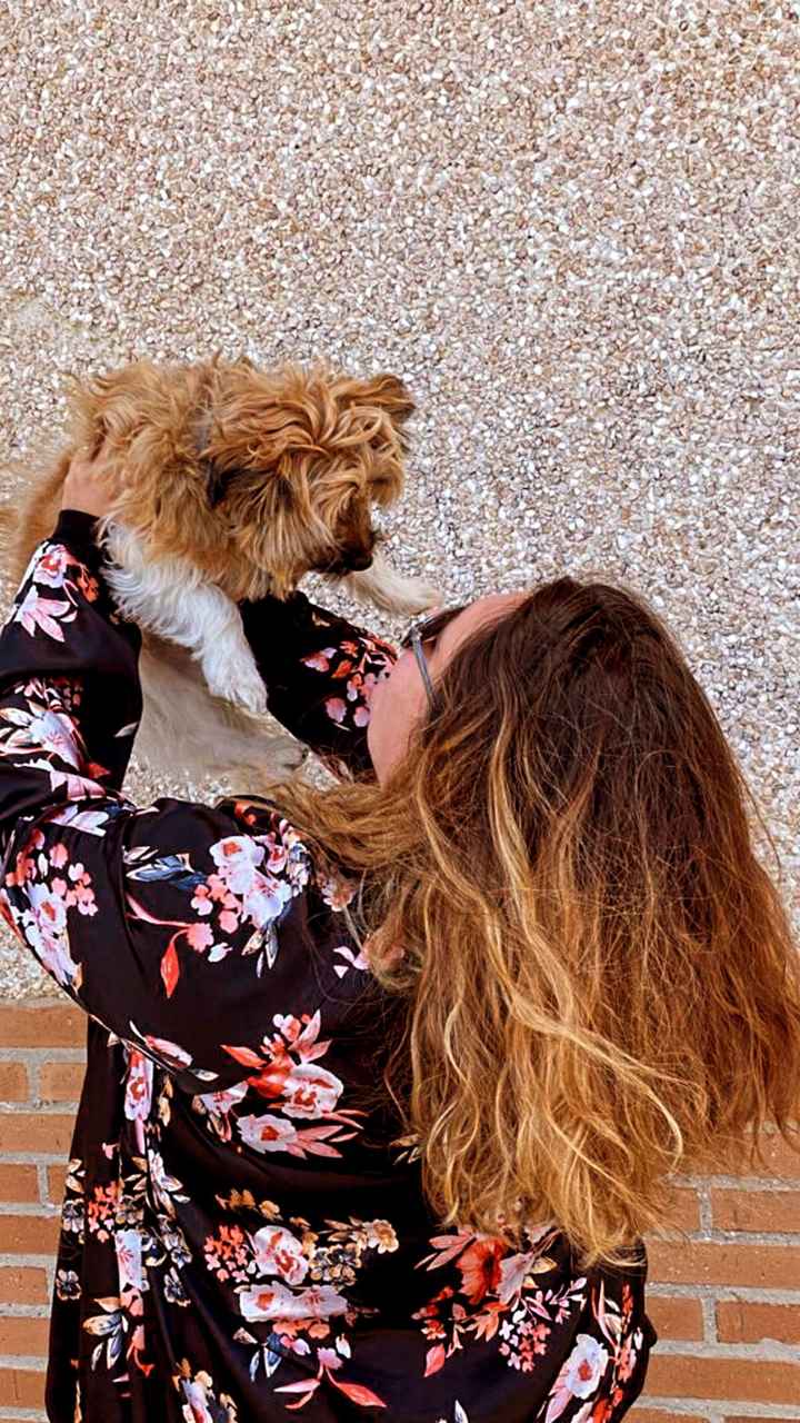 ¿Tener mascota o no? - 1