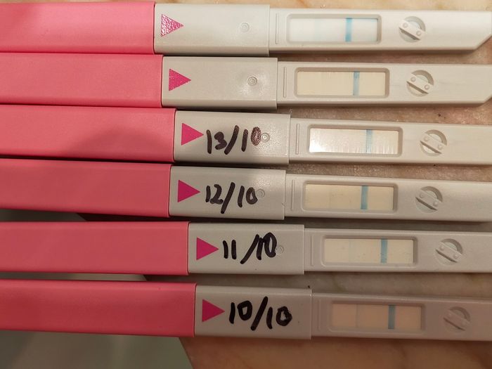 💚Buscadoras Octubre 2021 💚 - 1