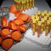 mi arroz naranja.