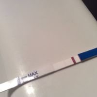 Test tiras