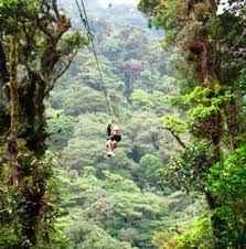 haciendo canopy