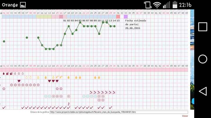 Gráficas de temperatura con positivo - 1