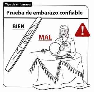 CONSEJO 11