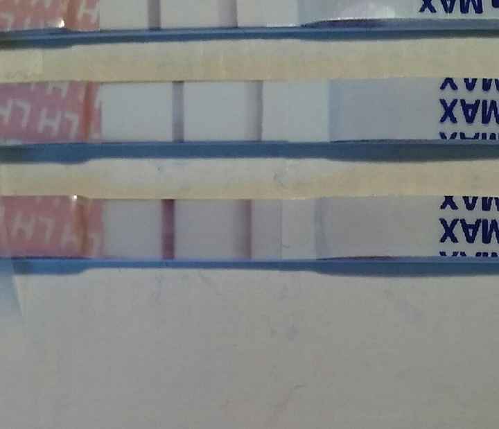 Resuelvo dudas sobre los to (test de ovulacion) - 1