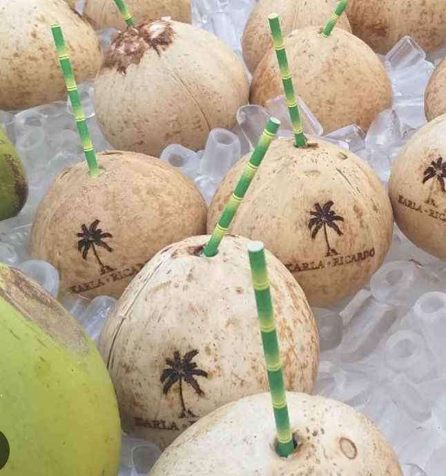 Cocos Personalizados - 1