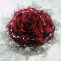 Ramos de novia rojos - 1