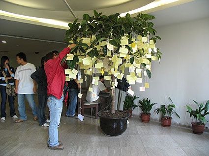 Árbol de los deseos. - 1