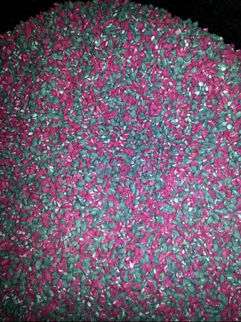Mi arroz en 24 horas!!!!!! - 4